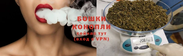 PSILOCYBIN Вяземский