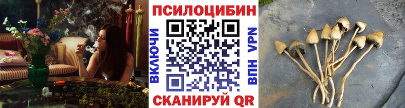 сайты даркнета состав  магазин  наркотиков  Грайворон  Галлюциногенные грибы Psilocybe 